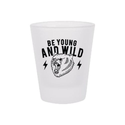 15ozfrostedshotglass