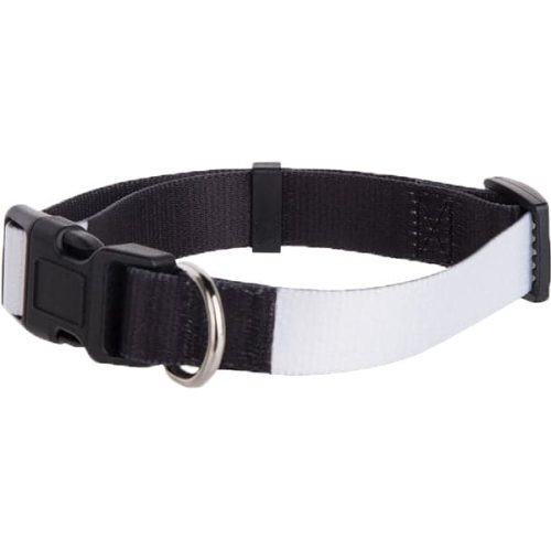 dogcollar2 1 1 2nd