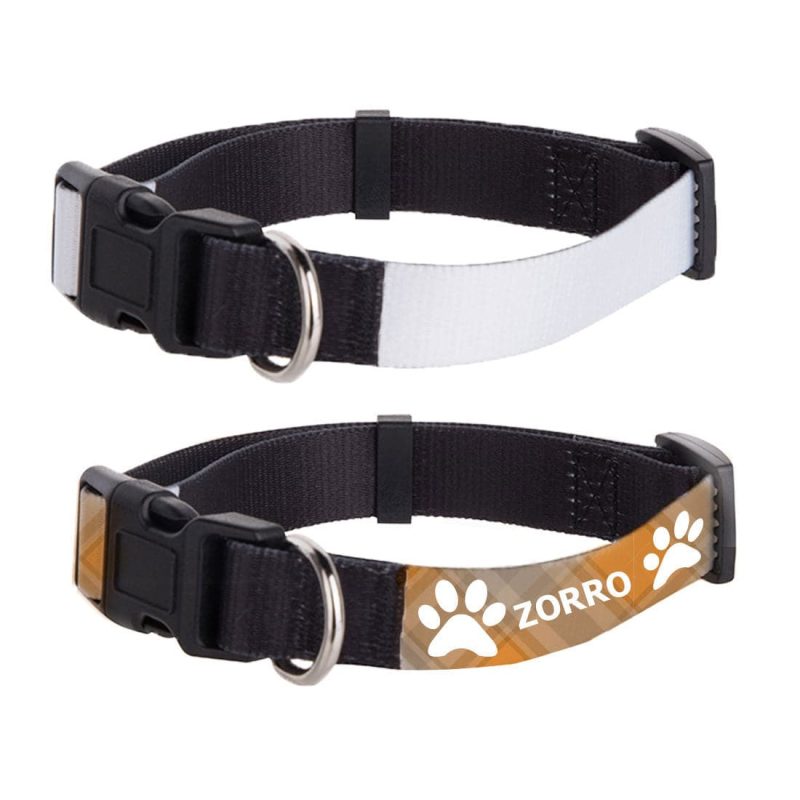 large pet collar 1 2nd