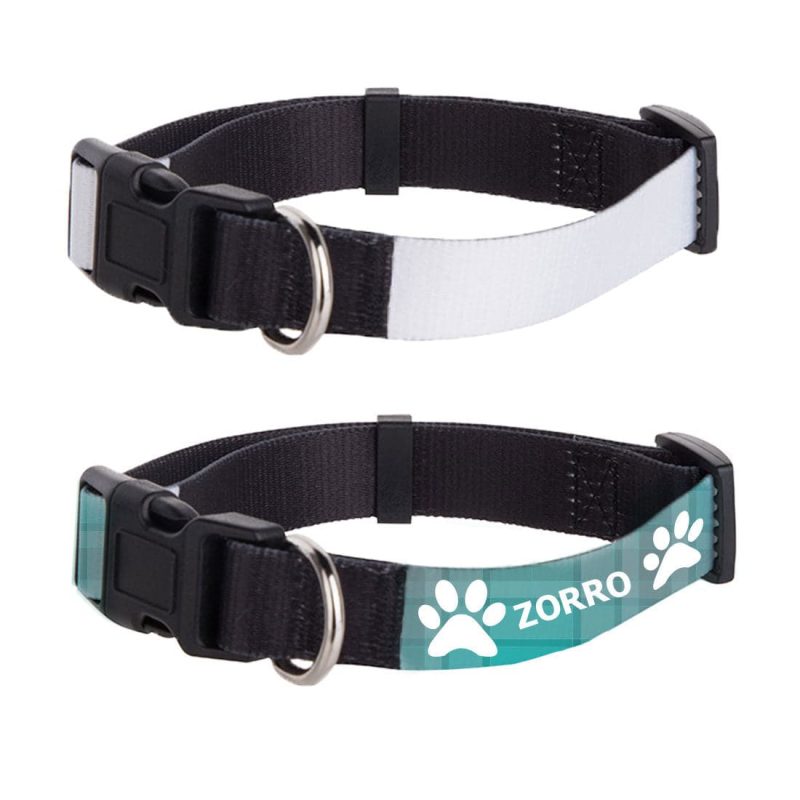 small pet collar 1 2nd